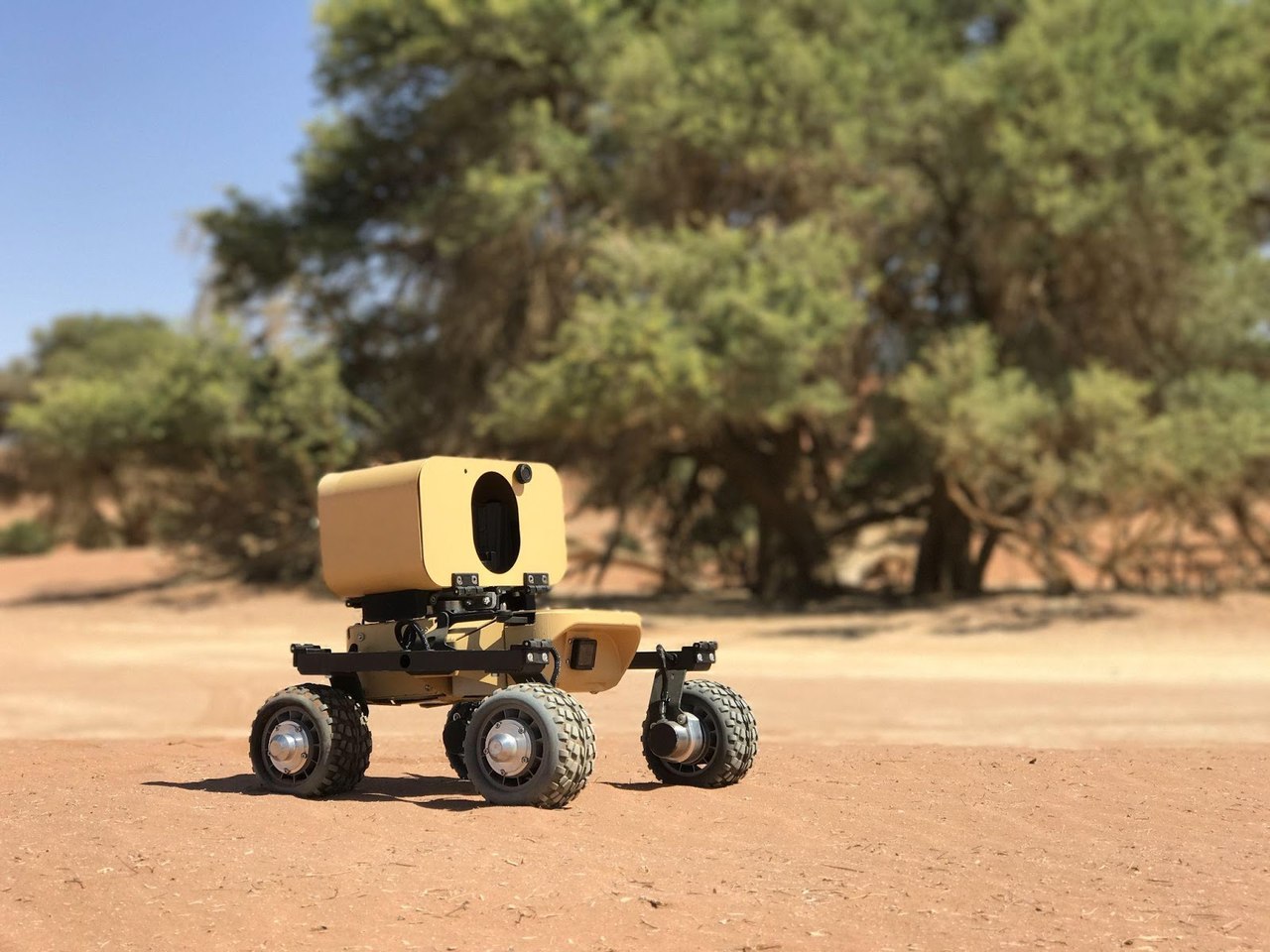 Leo Rover in a desert