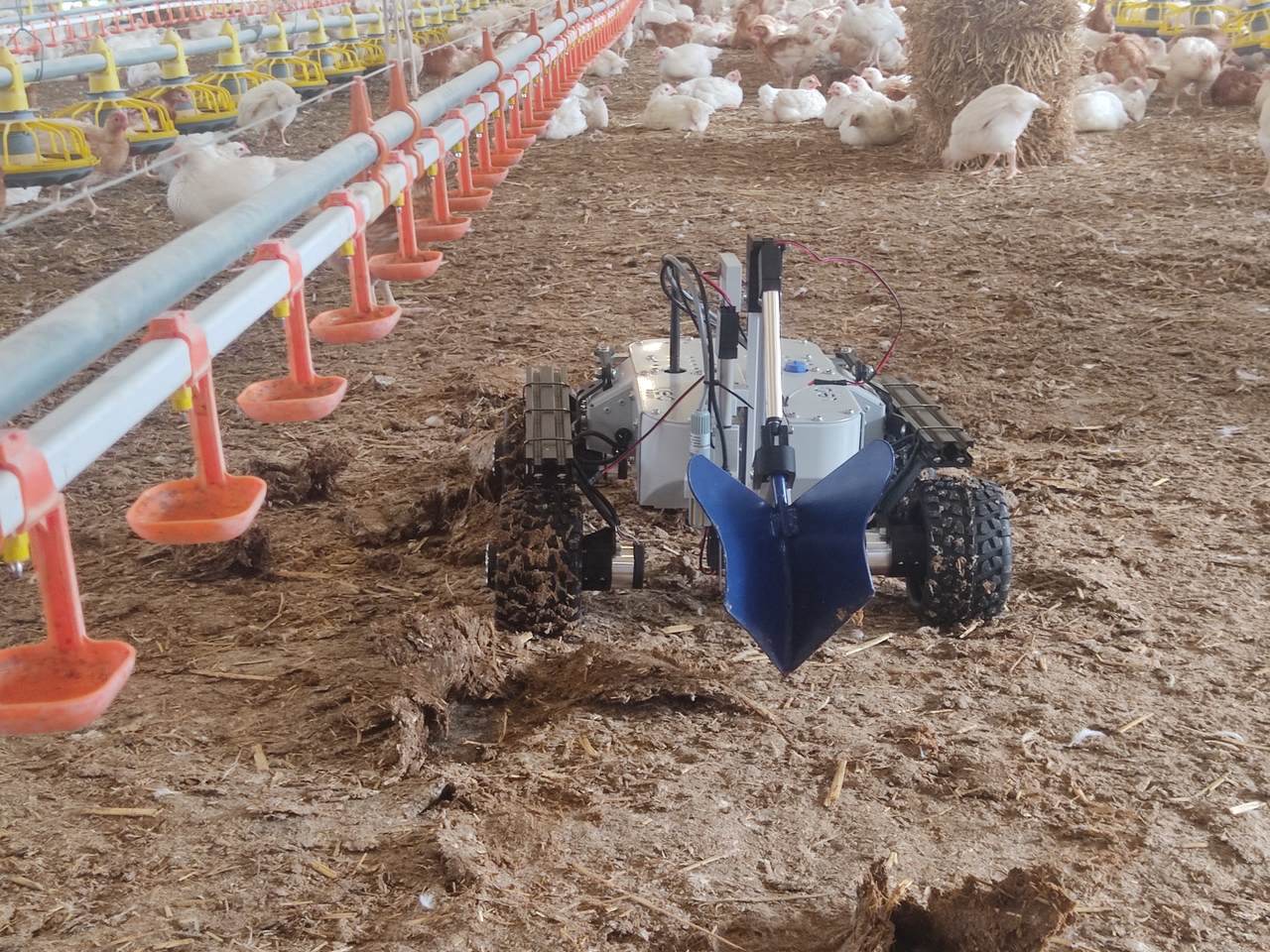 Leo Rover in a poultry farm